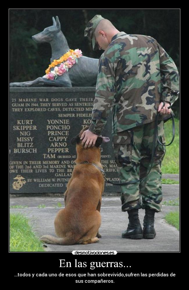 En las guerras... - ...todos y cada uno de esos que han sobrevivido,sufren las perdidas de
sus compañeros.
