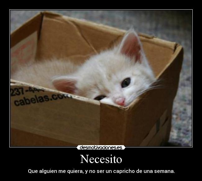 Necesito - Que alguien me quiera, y no ser un capricho de una semana.