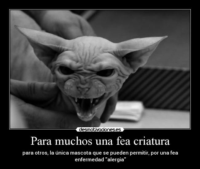 carteles alergia mascotas nereagothic desmotivaciones