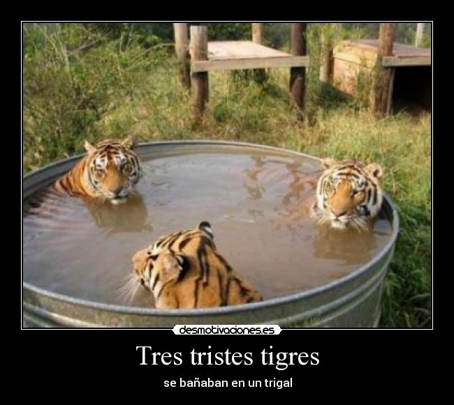 Tres tristes tigres - 