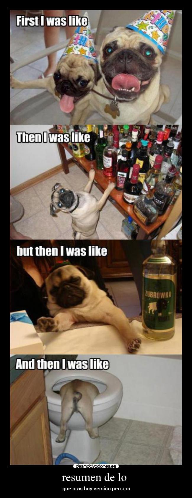 resumen de lo - que aras hoy version perruna