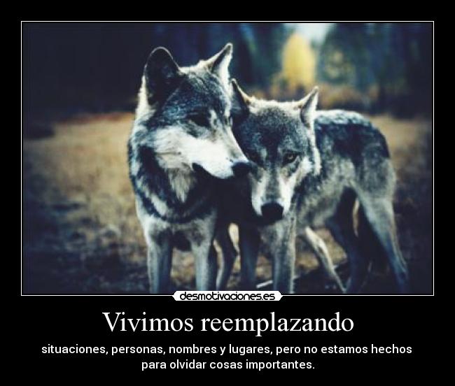 Vivimos reemplazando -