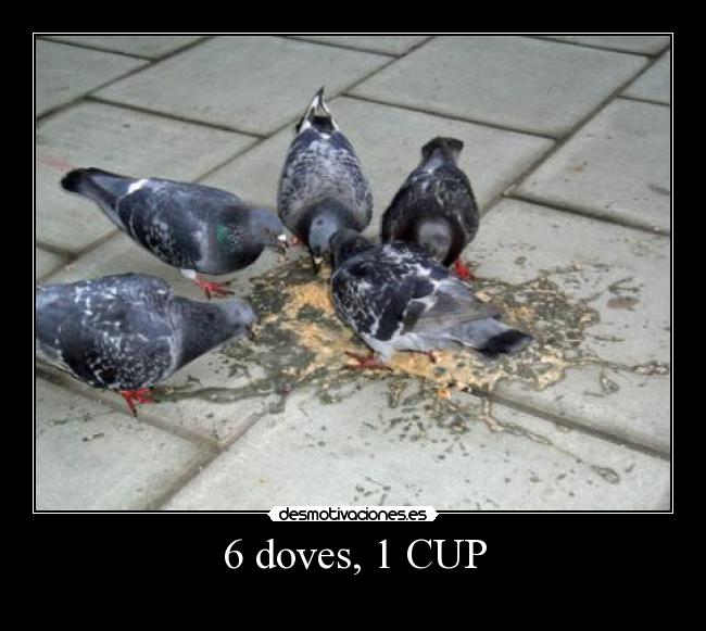 6 doves, 1 CUP -
