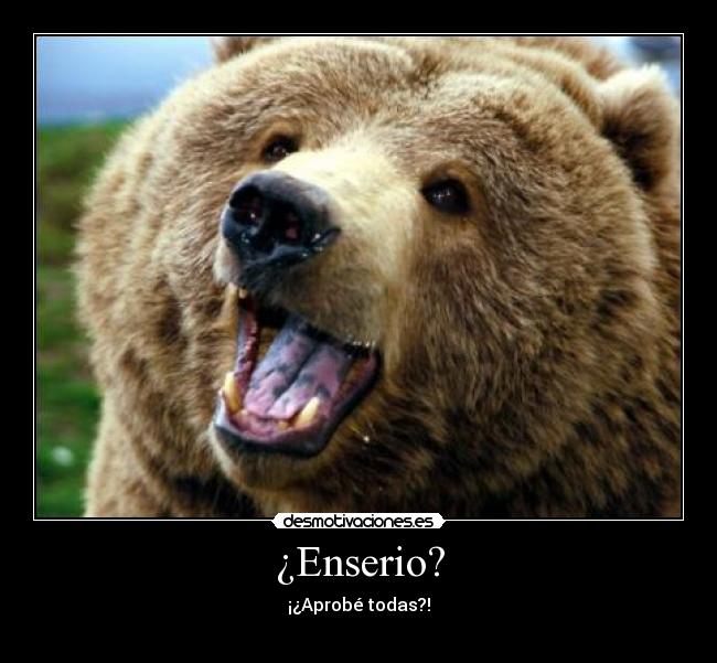 ¿Enserio? - ¡¿Aprobé todas?!
