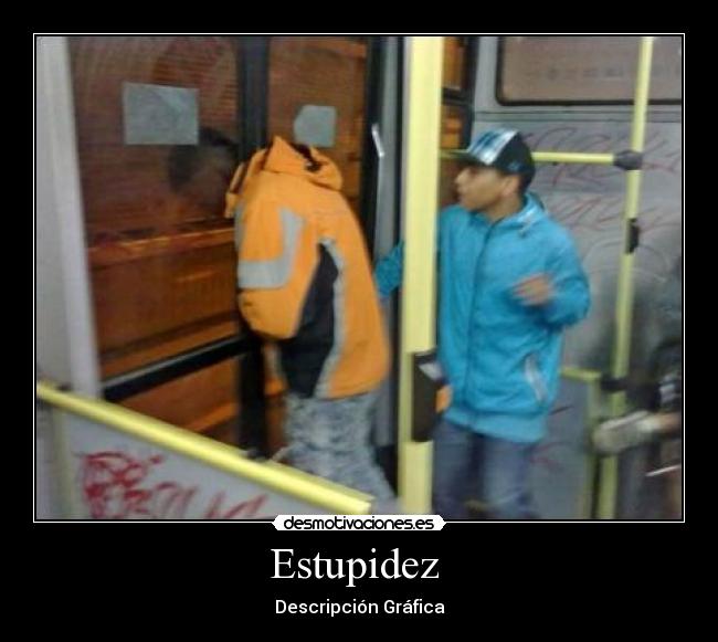 Estupidez  - 