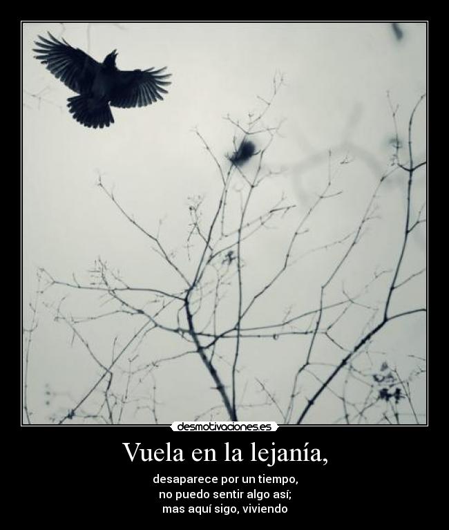 Vuela en la lejanía, -