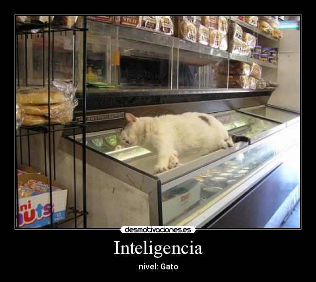 carteles inteligencia desmotivaciones