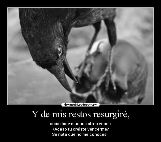 Y de mis restos resurgiré, - 