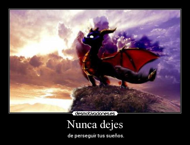 Nunca dejes - de perseguir tus sueños.