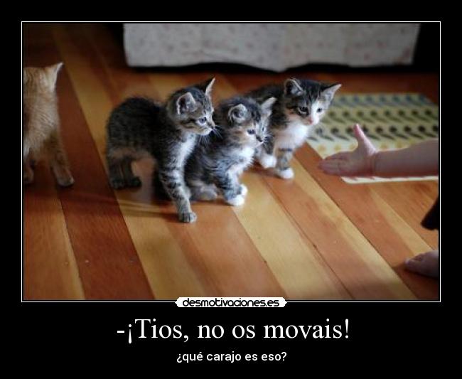 -¡Tios, no os movais! - 