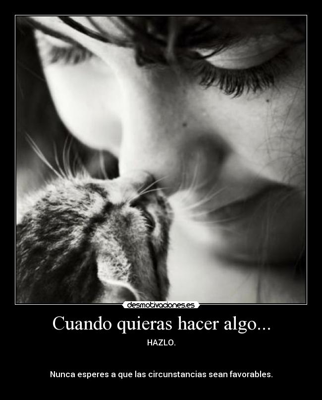 carteles vida desmotivaciones