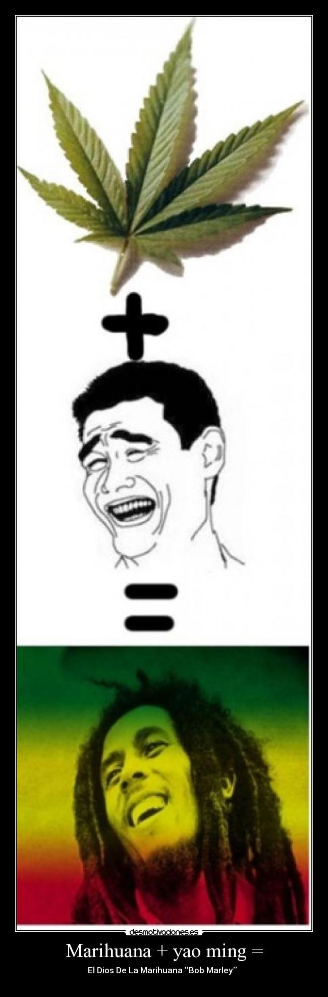 Marihuana + yao ming = - 