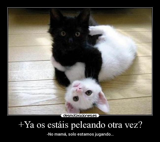 +Ya os estáis peleando otra vez? -