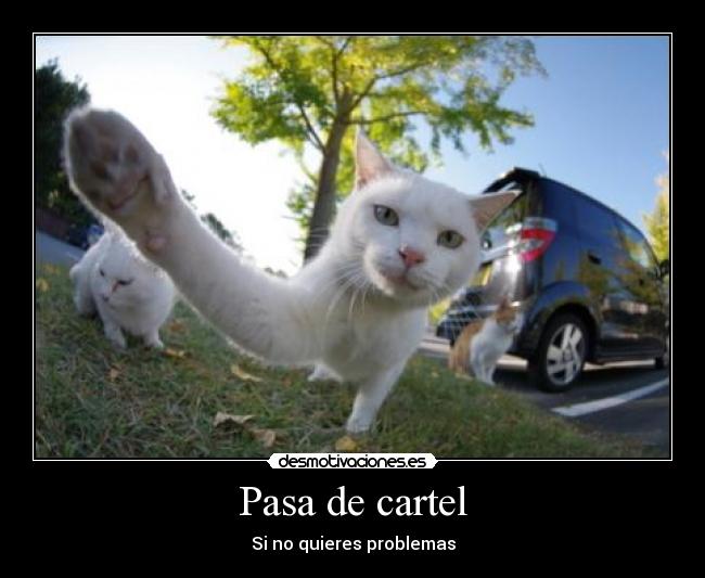 Pasa de cartel - Si no quieres problemas