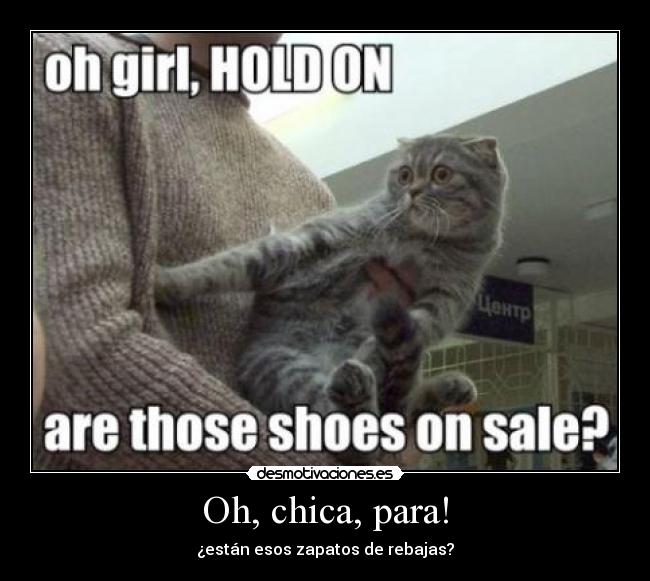 Oh, chica, para! - ¿están esos zapatos de rebajas?