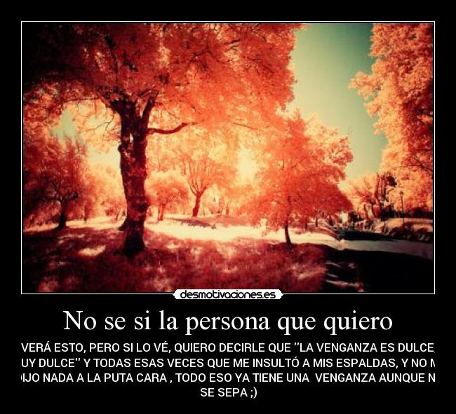 No se si la persona que quiero -