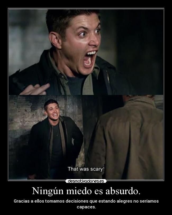 Ningún miedo es absurdo. - Gracias a ellos tomamos decisiones que estando alegres no seríamos capaces.