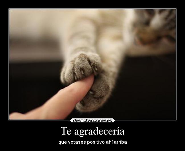 Te agradecería - que votases positivo ahí arriba