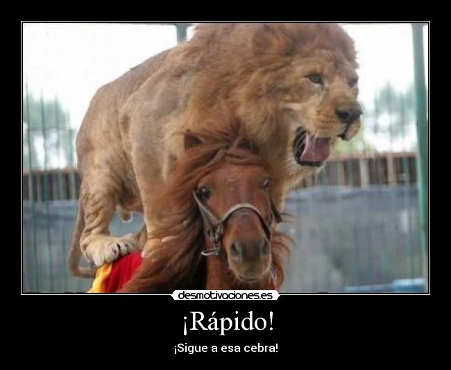 ¡Rápido! - 