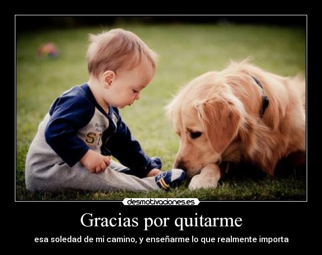 carteles gracias por quitarme desmotivaciones