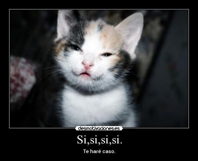 Si,si,si,si. - Te haré caso.