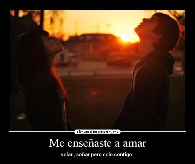 Me enseñaste a amar -