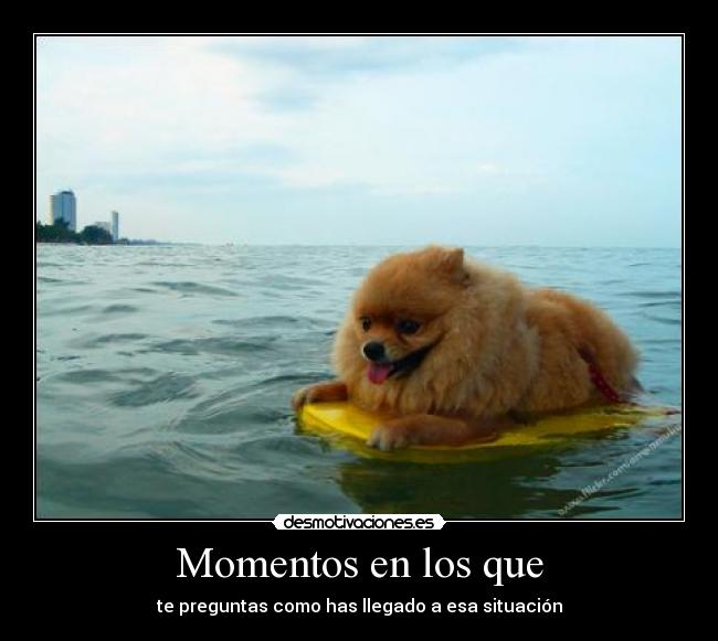 Momentos en los que - te preguntas como has llegado a esa situación