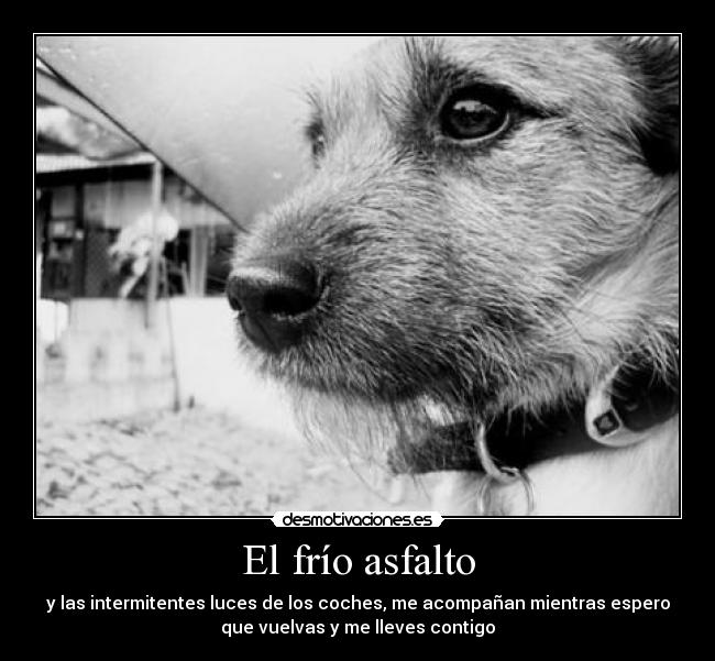El frío asfalto -