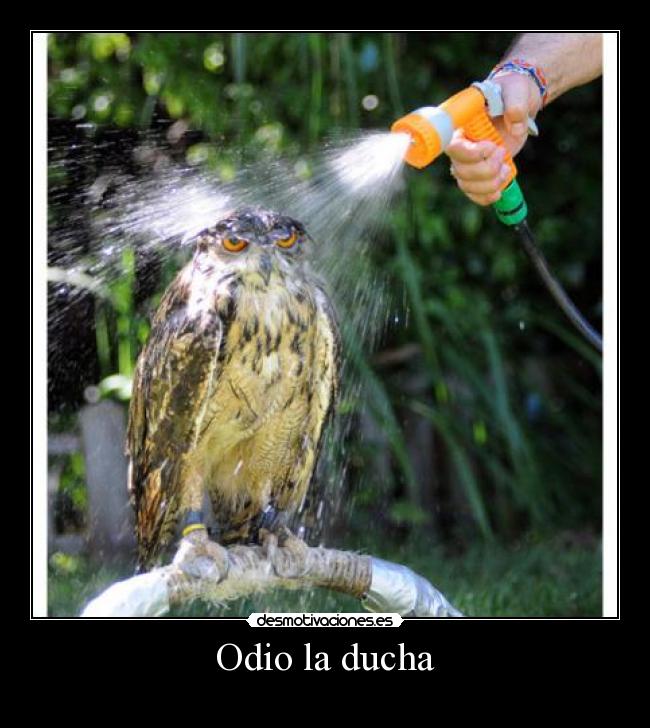 Odio la ducha - 