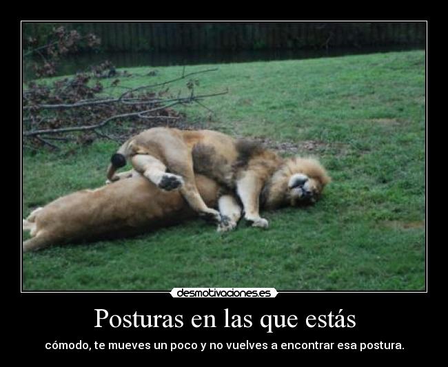 Posturas en las que estás - cómodo, te mueves un poco y no vuelves a encontrar esa postura.