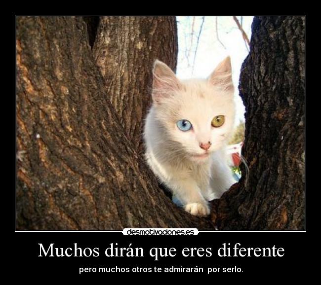 Muchos dirán que eres diferente -