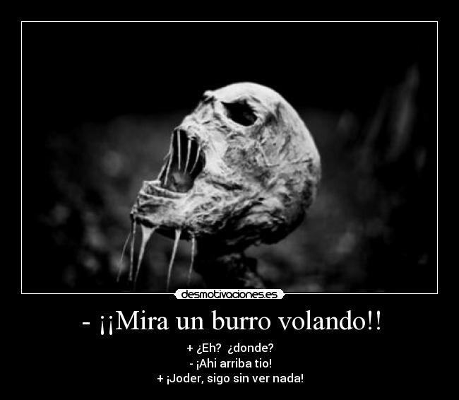 - ¡¡Mira un burro volando!! - + ¿Eh?  ¿donde?
- ¡Ahi arriba tio!
+ ¡Joder, sigo sin ver nada!