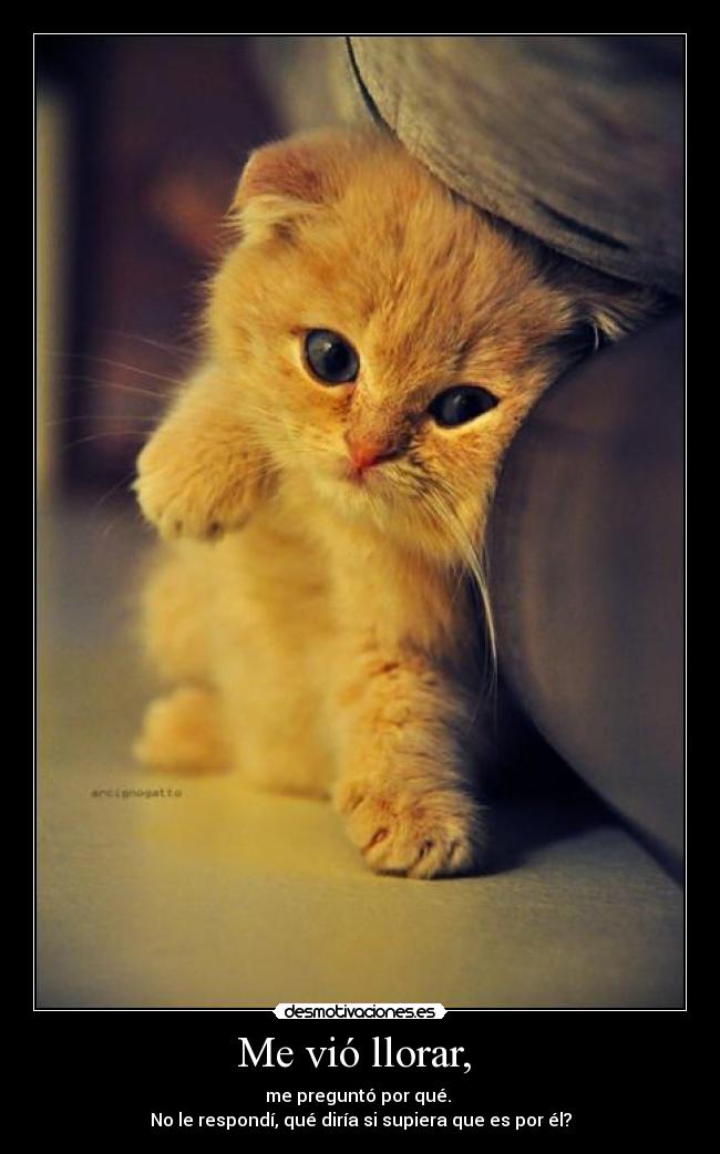Me vió llorar,  - 