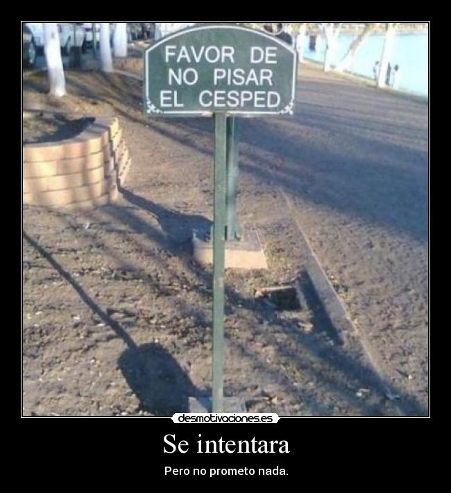 Se intentara - Pero no prometo nada.