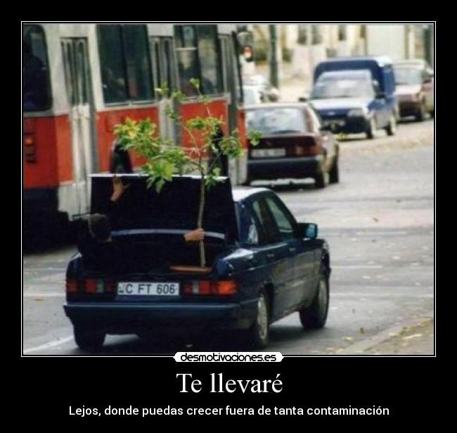 carteles llevare lejos donde puedas crecer fuera tanta contaminacion desmotivaciones