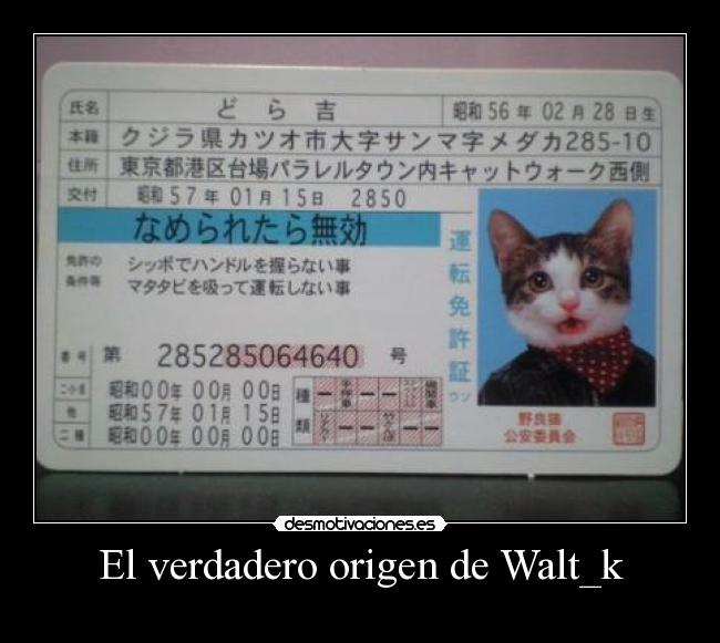 El verdadero origen de Walt_k -