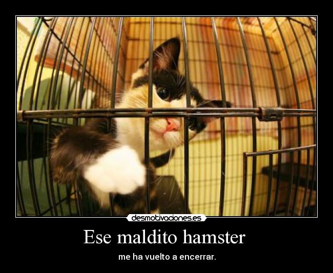 Ese maldito hamster -