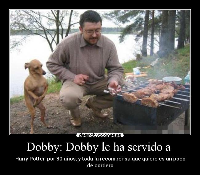 Dobby: Dobby le ha servido a -