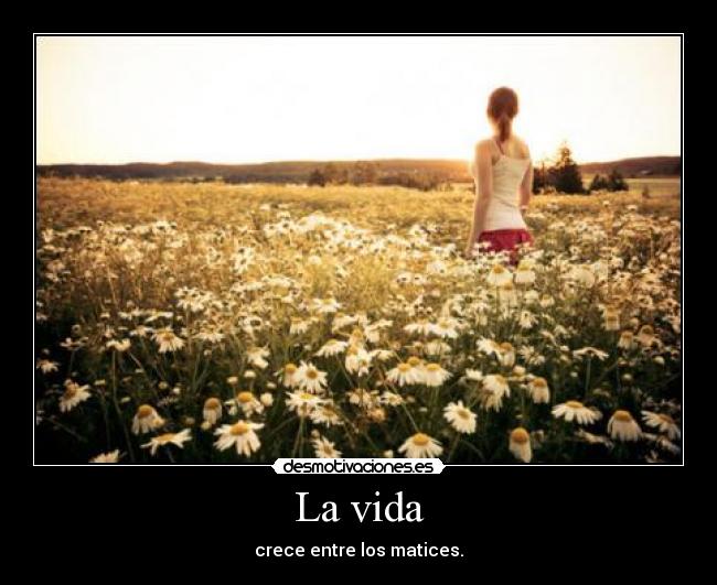 La vida - 