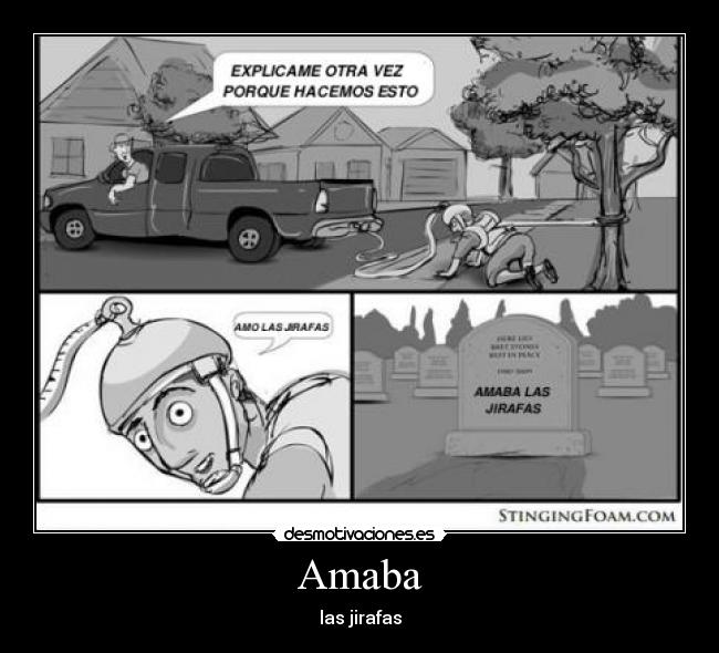 Amaba - las jirafas