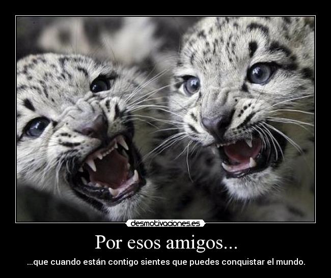 Por esos amigos... - ...que cuando están contigo sientes que puedes conquistar el mundo.