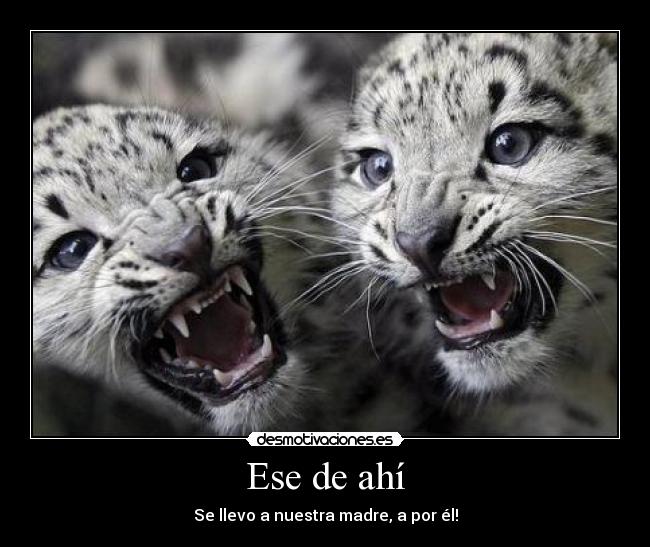 Ese de ahí - Se llevo a nuestra madre, a por él!