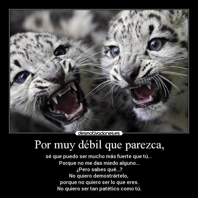 Por muy débil que parezca, - sé que puedo ser mucho más fuerte que tú... 
Porque no me das miedo alguno...
¿Pero sabes qué...?
No quiero demostrártelo, 
porque no quiero ser lo que eres.
No quiero ser tan patético como tú.