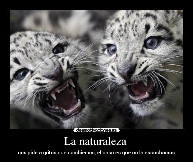 La naturaleza  - nos pide a gritos que cambiemos, el caso es que no la escuchamos.