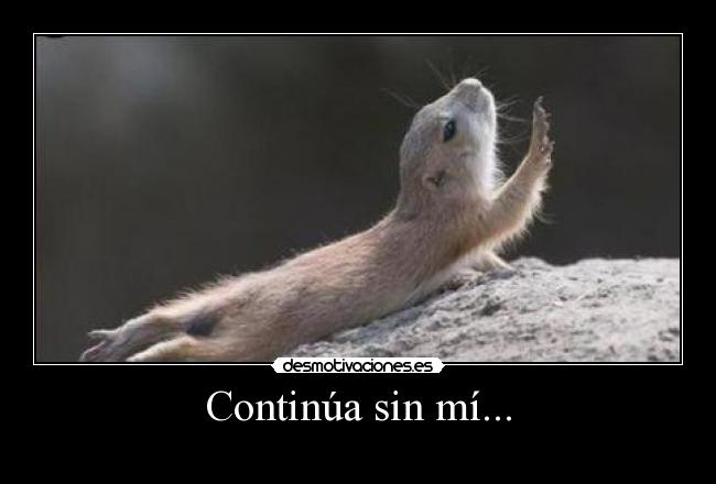 carteles dfg desmotivaciones