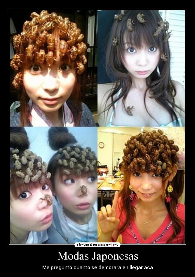 Modas Japonesas - Me pregunto cuanto se demorara en llegar aca