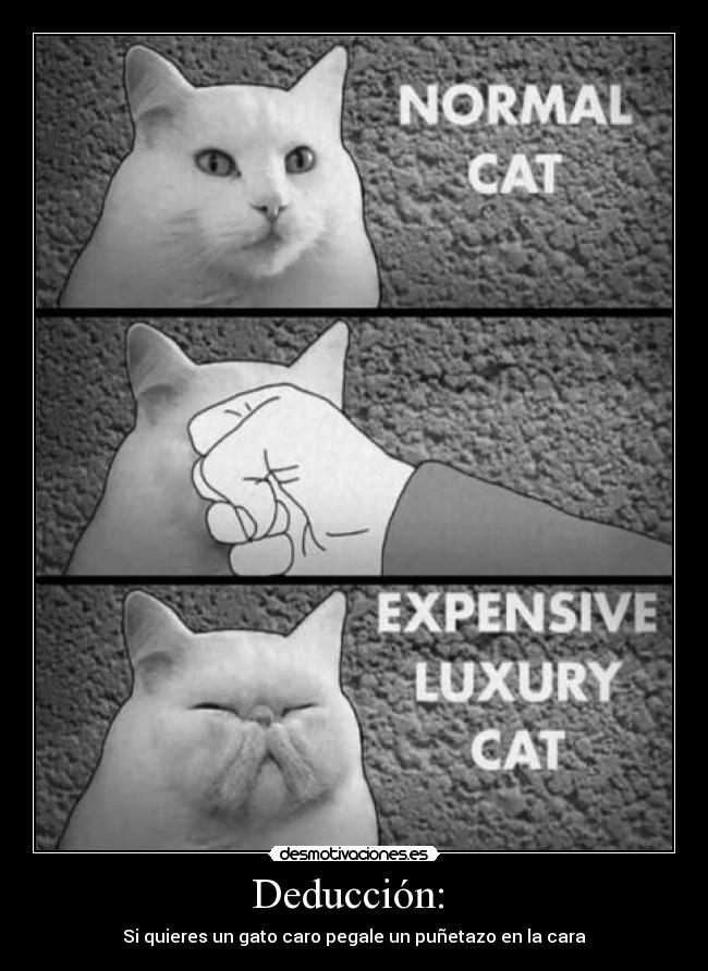 carteles ggtgt desmotivaciones