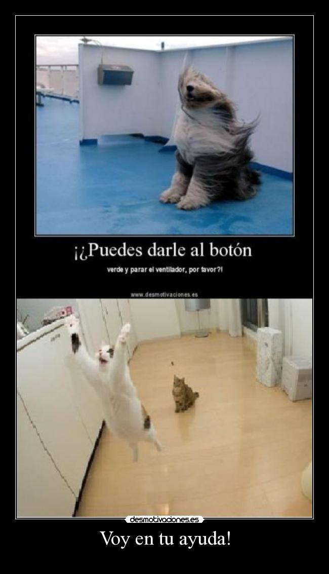 Voy en tu ayuda! -