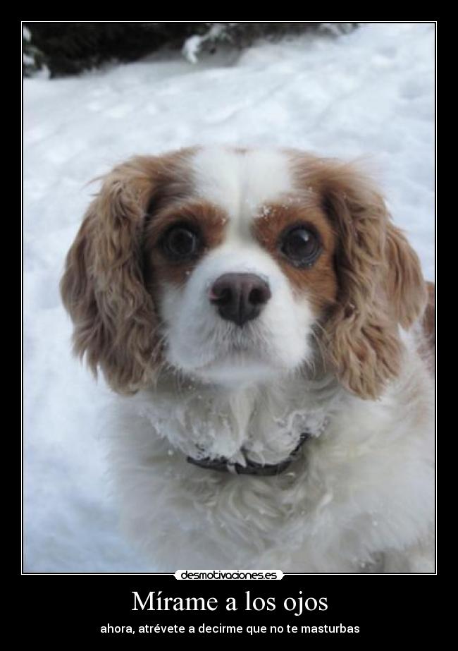 Mírame a los ojos - ahora, atrévete a decirme que no te masturbas