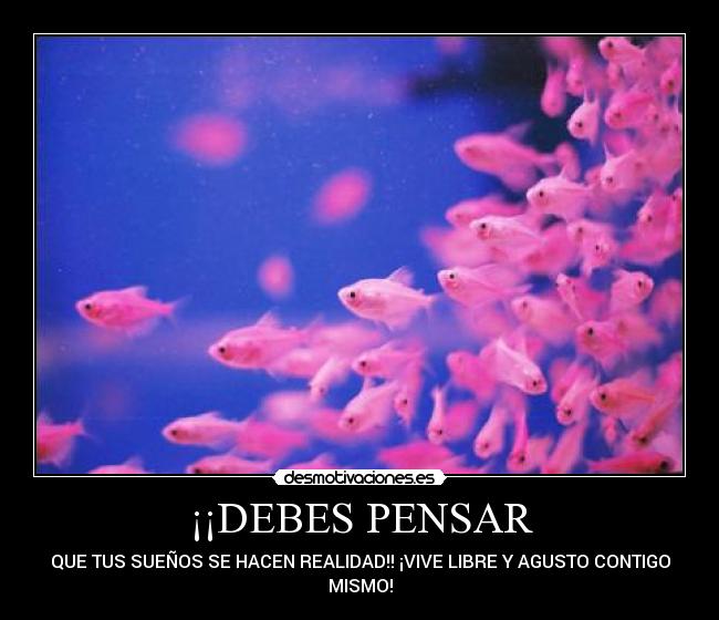 ¡¡DEBES PENSAR - 